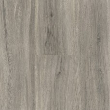 SPC ламинат parador Basic 5.3 Oak Pastel Grey